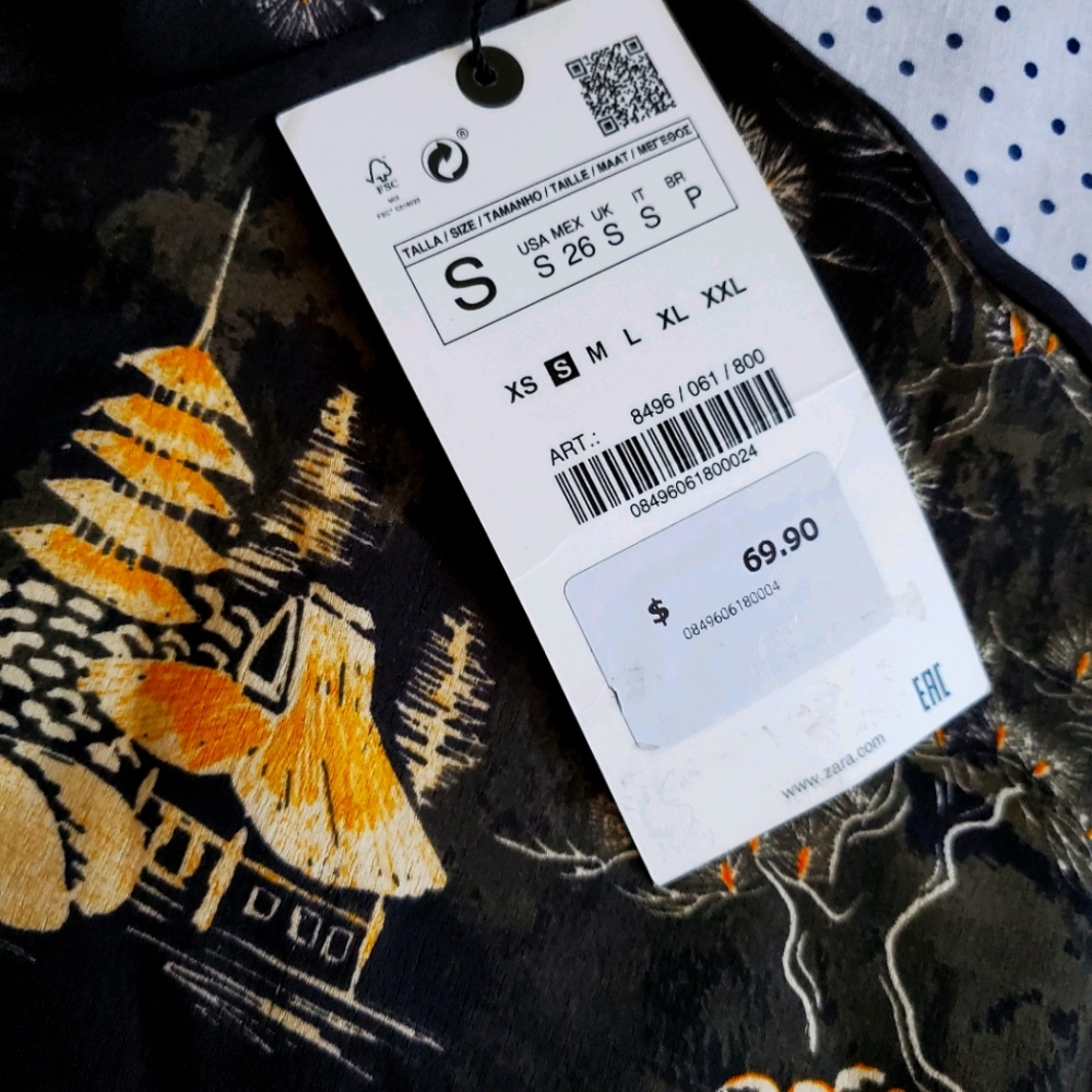 Zara dress